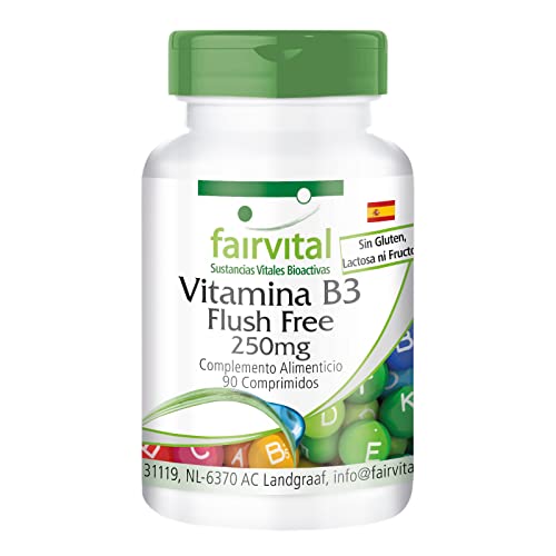Fairvital | Vitamina B3 250mg - Niacina - Flush Free - No ruborizante - VEGANA - 90 Comprimidos - Calidad Alemana