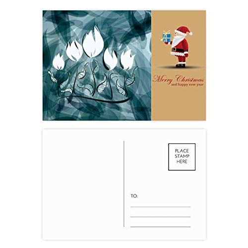 Cartes postales peintes à la main tulipes Père Noël : lot de 20 cartes de vœux