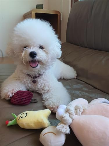 Molinter Hundespielzeug Pet Plüsch in Form von Hühnersuppe Interaktives Lebensmittel Ausblenden Quietschspielzeug Zahnreinigung