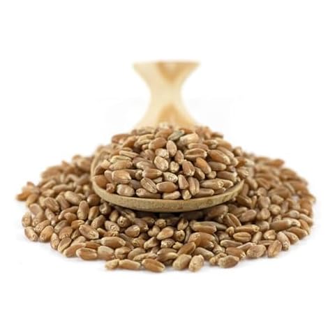 Sussex Wholefoods Organic Wheat Grain 1kg for Baking Cover