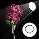 Apausvcm 4 Stück Diffusor Socke,18cm/7Inch weiches Weiße Diffusor Lampensocke,Diffusor Lampenabdeckung,Lampenschirm Reflektor,Diffusor Lampe Abdeckung,Diffusor Abdeckungstuch,für Ringlicht Blitzlicht