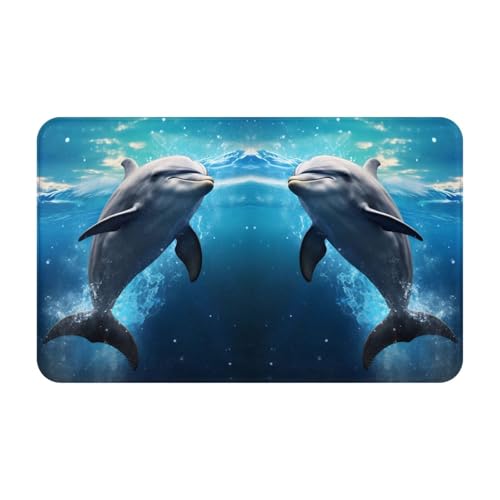 Tapis de salle de bain antidérapant et lavable – Tapis de cuisine pour sol, tapis d'entrée d'intérieur, bleu glacier, océan, dauphin mignon, tapis de porte de...