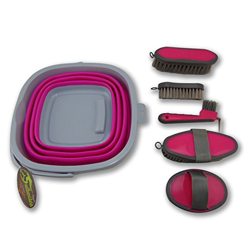 Collapsible Grooming Kit 10 Liter Bucket And 5 Grooming Tools By Southwestern Equine (Pink) #TOP1