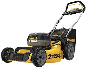 DeWalt DCMW220P2