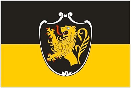 U24 Flagge Karlsbad (Baden) – 30x45 Cm, Polyester, Wetterfest & Hissfertig