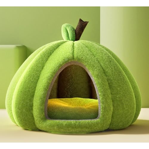 FILWY Lxbh ^nEX J{`h[^ ӂӂ_炩\tg hg 􂦂 ~ NbVt ybgpi (O[,S)