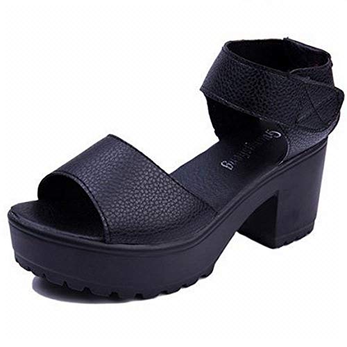 [r[X] T_ fB[X  pvX V[Y ItBX xN d t  H ~ x_ sN ubN q[ Xgbv 5Z` 5cm Ȃ C  25.5cm