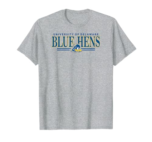 Delaware Fightin' Blue Hens Regalia Gray Officially Licensed T-Shirt
