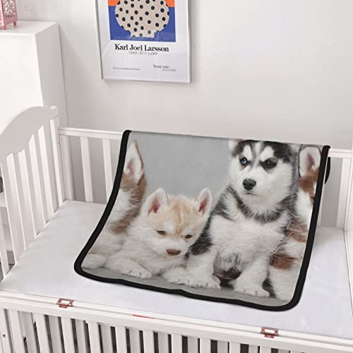 Plaid lit Husky couverture flanelle confortable douce pour canapé - 5