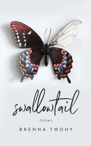 Swallowtail view 2