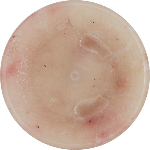 Sheamoisture SMUK162 Body Scrub For Dull Skin Illuminating Coconut And Hibiscus Cruelty-Free Skin Care 12 Oz thumb #17