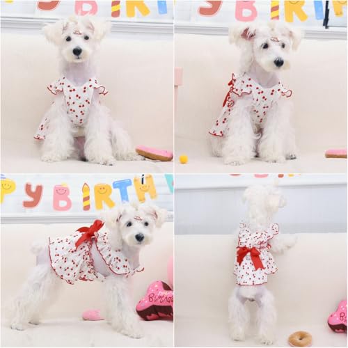 Image of CuteBone Cotton Dog Dress Cherry with Leash Ring & Sleeve Ruffles, Soft & Breathable, Stylish Pet Clothes Outfit for Small Dogs, Comfortable & Easy to Wear CFX01XS