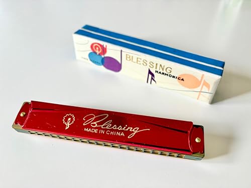 Armónica Blessing metal 20 agujeros,40 voces