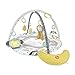 Fisher-Price HBG85 - Spieldecke mit Äffchen-Motiv, Aktivitätsspielzeug und Bananen Spielkissen, Babyspielzeug ab der Geburt