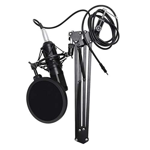 WDWDW Conjunto Completo de micrófonos de Condensador Profesionales con alimentación Phantom y Tarjeta de Sonido USB para Estudio de grabación KTV/PC