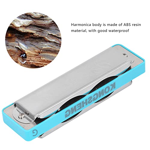JUnYuKj Blues Harmonica, Mini Harmonica, Support Harmonica, 10 trous, pour adultes, débutants, professionnels - Les Beatles, Paul McCartney, John Lennon, RIngo Starr, George Harrison JUnYuKj Blues Harmonica, Mini Harmonica, Support Harmonica, 10 trous, pour adultes, débutants, professionnels – Image 5