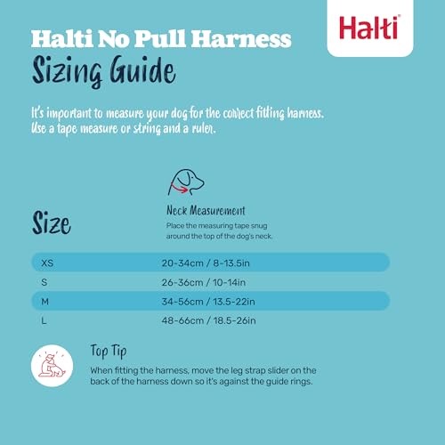 Halti No Pull Geschirr und Trainingsleine Kombi-Pack - Stop Dog Pulling on Walks mit Halti, Includes Medium No Pull Harness und Double Ended Lead