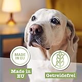 Chewies Lucky Bits Kaninchen & Huhn Senior Hundeleckerli - Hunde-Leckerlis getreidefrei & Soft mit viel Protein und Superfoods wie Bierhefe oder Ginkgo, ohne Zucker (80 g)