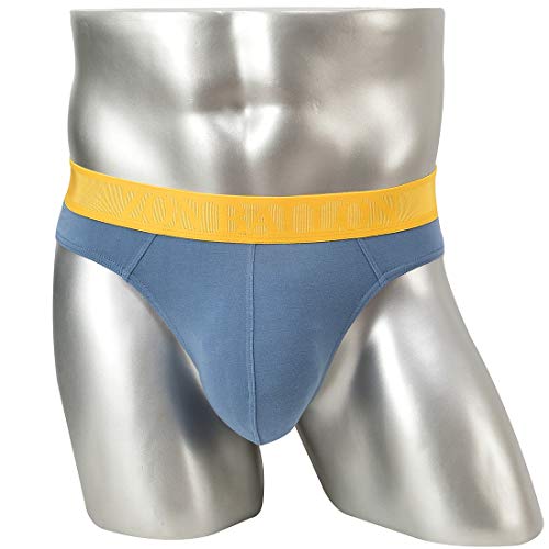 Zonbailon Mens Thongs Underwear Sexy Man Thong G-String Butt-Flaunting Hot Male Thong T-Back Gray Blue L #TOP3