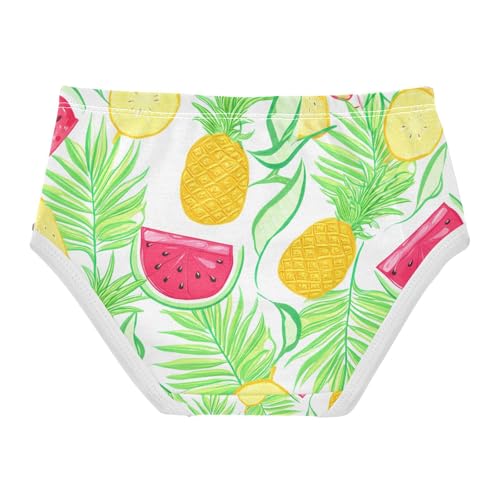 Tropical Pineapple Watermelons Toddler Girls's Underwear 2T 202c18572