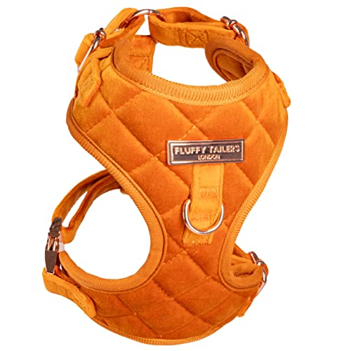 Fluffy Tailers Orange Velvet Adjustable Dog & Puppy Harness With Chest Strap for Small Medium & Teacup Sized Dogs