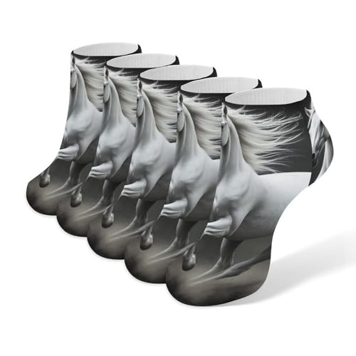 Casual Socks Set of 5, Lightweight Durable Socks for Men Women, Sweat-Absorbent No Show Ankle Sock