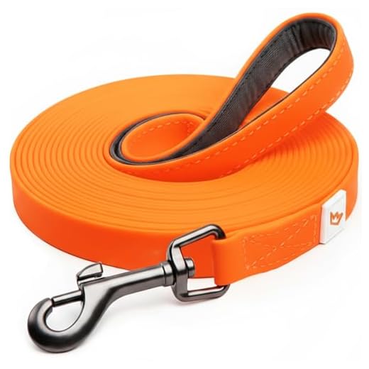 HUNTER Verstellbare Führleine aus weichem, griffigem Nylon, klassisch, 2,0 x 200 cm, schwarz 3 Rudelkönig Schleppleine mit Griffpolsterung - 5m / 10m - Robuste & wetterfeste Hundeleine für eine erfolgreiche Hundeerziehung