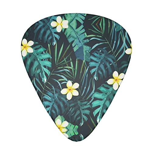 Ensemble de 12 médiators de guitare hawaïenne pour guitare acoustique, guitare électrique, contrebasse, ukulélé - Les Beatles, Paul McCartney, John Lennon, RIngo Starr, George Harrison Ensemble de 12 médiators de guitare hawaïenne pour guitare acoustique, guitare électrique, contrebasse, ukulélé