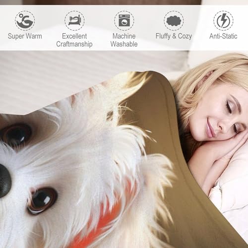 Couverture polaire flannel douce chien lavable et chaude - 6