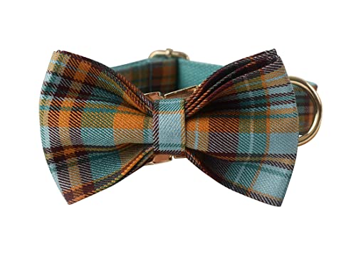 Custom Dog Collar with Names and Phone Number Engraved Puppy Tags Personalized for Small Medium Large Pets  Cucciolini Doodles Custom dog collar with names and phone number engraved puppy tags personalized for small medium large pets   cucciolini doodles