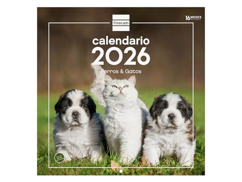 Finocam - Calendario de pared 2026 30x30 cm Mes Vista Enero - Diciembre 2026 + Sep.- Dic. 2025 (4 meses) reducidos | Calendario 2026 | Imágenes Perros y gatos - Español