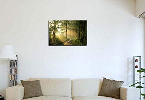 Miniatura 5 de Arte de pared de bosque, naturaleza, moderno, lienzo, pintura, la imagen para decoración del hogar, niebla por la mañana, primavera, paisaje,