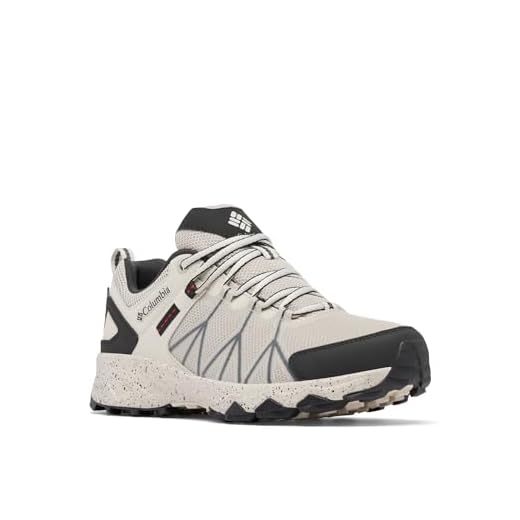 Columbia Men's Peakfreak 2 Outdry Waterproof Low Rise Hiking Shoes, Grey (Light Cloud x Black), 10.5 UK