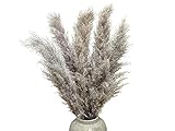 ✅ BLICKFANG IN DER VASE: Für das Schlafzimmer, Wohnzimmer, Badezimmer, Esszimmer oder Büro!