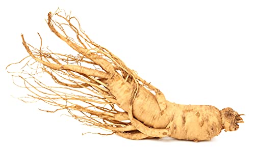 Vitamínicos, vitaminas chinas ginseng Marca ATTI (3)