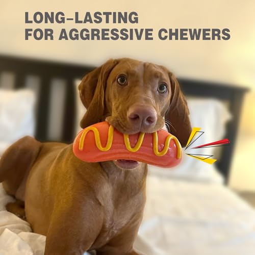 Best Indestructible Dog Toys For Aggressive Chewers Reviews