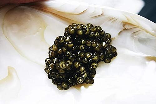 Miniatura 5 de Old Classic Ossetra Sturgeon Malossol Caviar - Lata de 32 onzas, sabor exquisito, calidad, cosecha sostenible, caviar Ossetra gourmet real recién