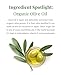 DHC Olive Concentrated Cleansing Oil, 5 Ounces, Pack of 1