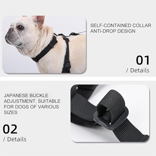 Hundepfotenstiefel-Leggings – Schneeschuhe, Hundepfotenschutzstiefel, Hundegeschirr für kleine bis XL | schmutzabweisend, rutschfest, mittelgroße Hunde, Winterstiefel, Rücken zu Rücken Hund,