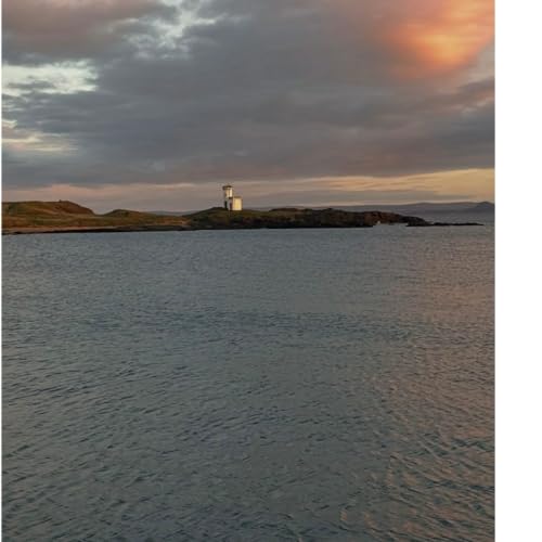 Why of me & swim queens