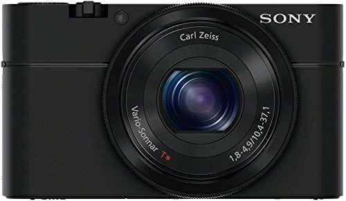 Sony Cybershot DSC-RX100 20.2MP Digital Camera with 3.6X Optical Zoom (Black)