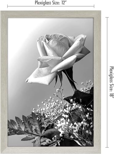 Image of Americanflat 12x18 Poster Frame - Gray Engineered Wood with Polished Plexiglass - Wide Picture Frame for Vertical or Horizontal Wall Display - Epic Collection - Gray