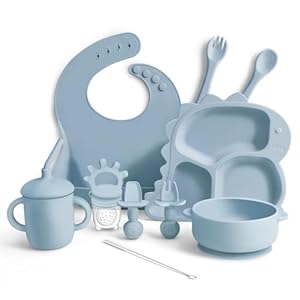 Silicone Baby Feeding Set, 10PCS Toddler Utensils, Baby Led Weaning Supplies with Dinosaur Plate, Bib, Cup, Suction Bowl, Forks, Spoons, Fruit Feeder