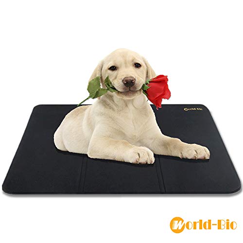 Best Keep Cool Mat