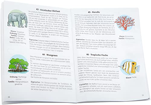 Kinderglobus (KS 2525)