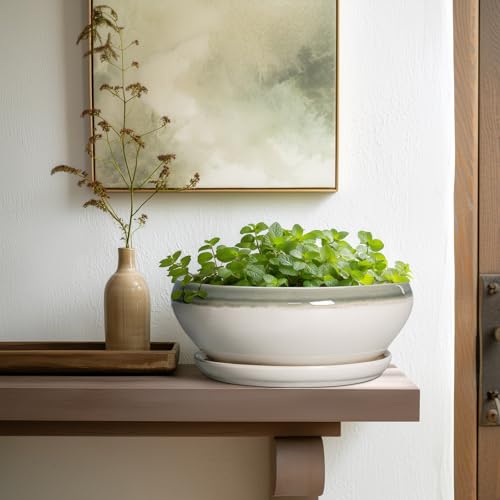 SQOWL Bonsai-Töpfe aus Keramik, 25,4 cm, Sukkulenten-Pflanzgefäße für Zimmerpflanzen, Outdoor… – Ansicht 6
