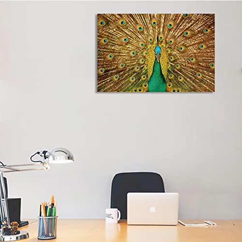 Afle Peacock Decor,Peacock Art Painting Hanging Picture,Canvas Wall Art For Living Room Decor Aesthetic Vintage Posters & Prints,College Dorm Decor Dorm Posters For,12X18 Inches,Unframed #TOP1