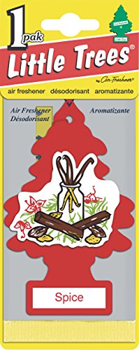 Little Trees Spice Air Freshener, (Pack of 24)