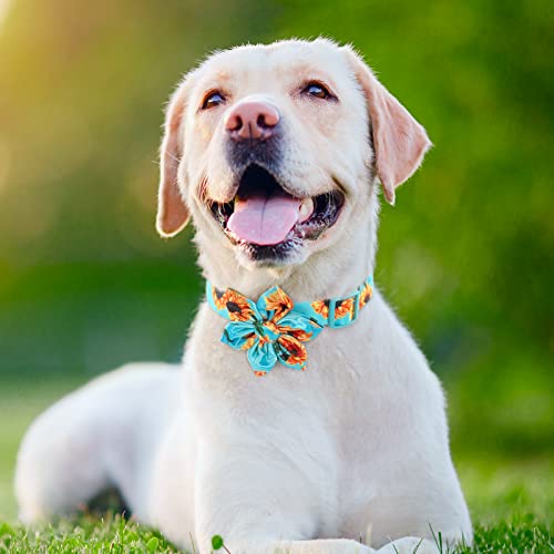 Fancy Floral Boy Dog Collar With Sunflower Bowtie - For Cute Male Cats & Dogs - Small to Large Sizes, Sunflower-Teal - Image 2