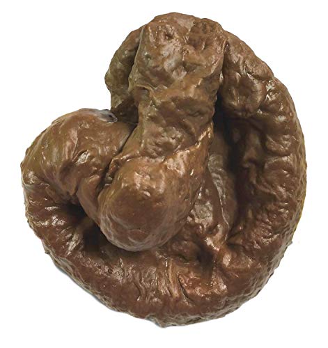 JA-RU Franco American Novelty Company Fake Dog Lucy Poop Doggie Poo Realistic Doggy Doo Doo Dirt Joke Gag Crap Pile